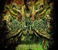 Unraveling Arcane Dynamics